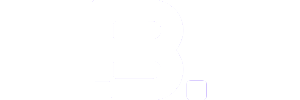 Bold Security logo